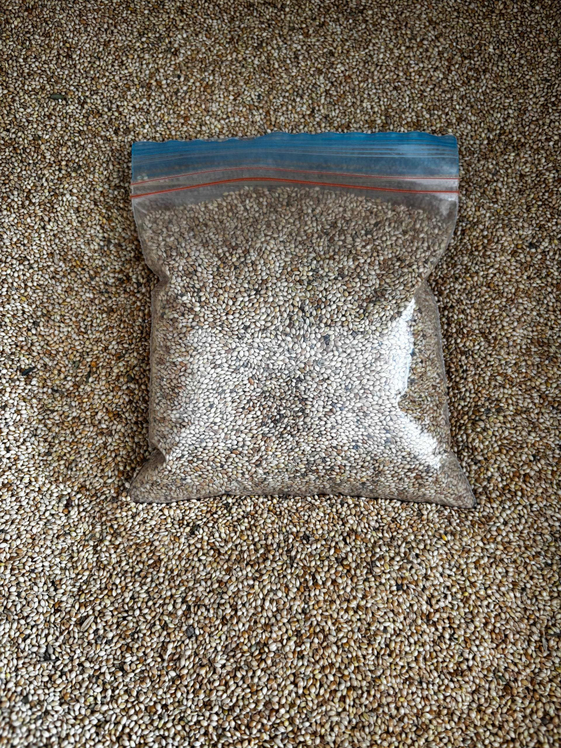 ارزن سفید بوجاری مخصوص پرندگان کوچیک