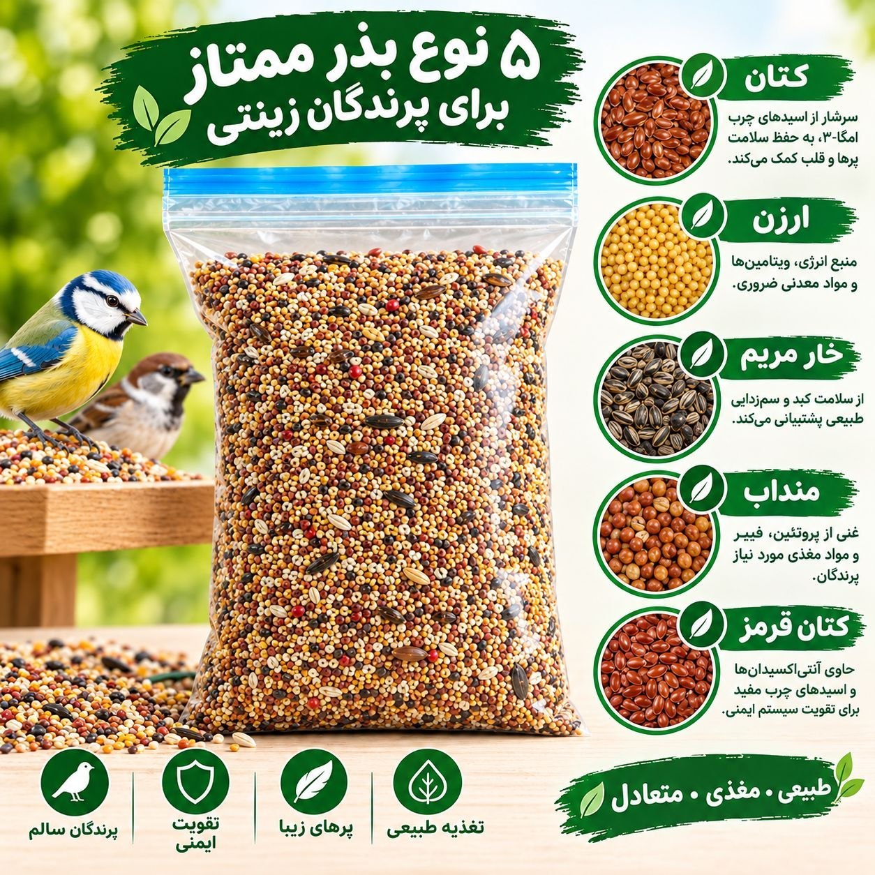 پنج مغز ممتازمخصوص پرندگان زینتی