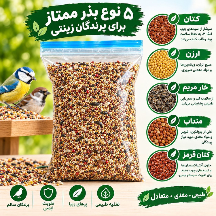 پنج مغز ممتازمخصوص پرندگان زینتی